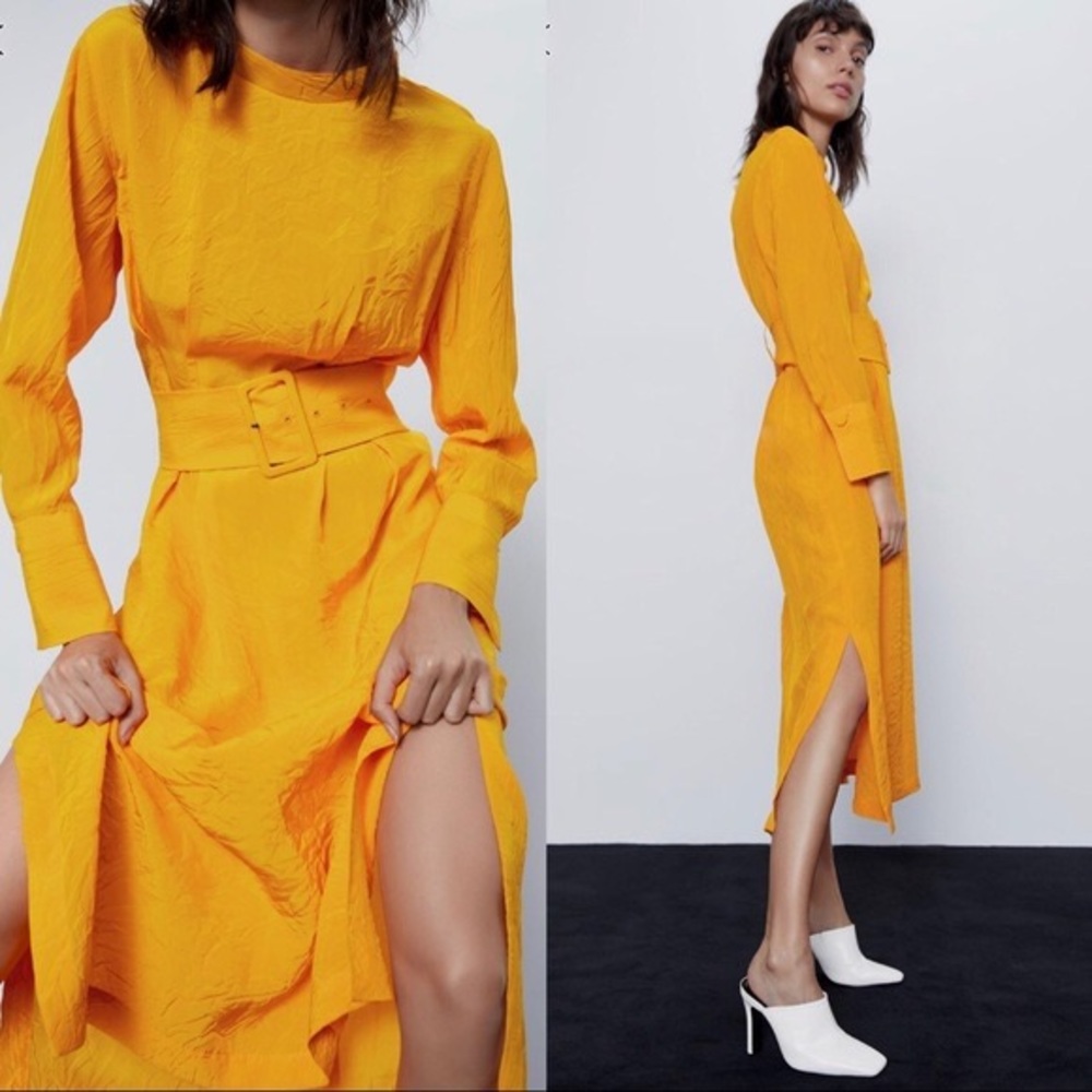 Zara Dress